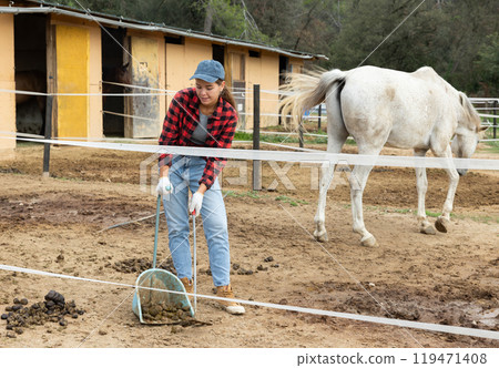 Girl cleans up horse poop in a horse pasture using broom and dustpan Girl cleans up horse poop in a horse pasture using broom and dustpan 119471408