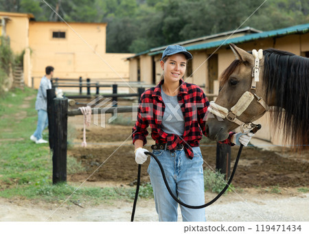 Woman owner of horse leads animal by bridle on street, walks it in street paddock 119471434