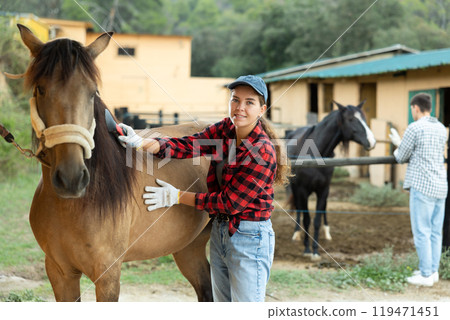 Beautiful young girl stable worker brushing horse at stable. Horse care concept 119471451