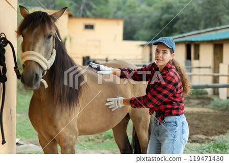 Beautiful young girl stable worker brushing horse at stable. Horse care concept Beautiful young girl stable worker brushing horse at stable. Horse care concept 119471480