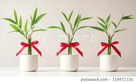 Three bamboo plants in white pots with red ribbons on a light background, symbolizing harmony and prosperity. Three bamboo plants in white pots with red ribbons on a light background, symbolizing harmony and prosperity. 119472130
