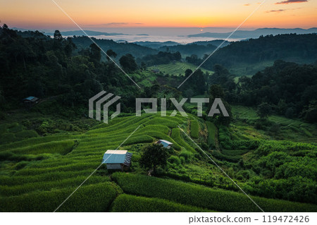 Aerial view of the rice fields,Rice fields and mountains in the early morning Aerial view of the rice fields,Rice fields and mountains in the early morning 119472426