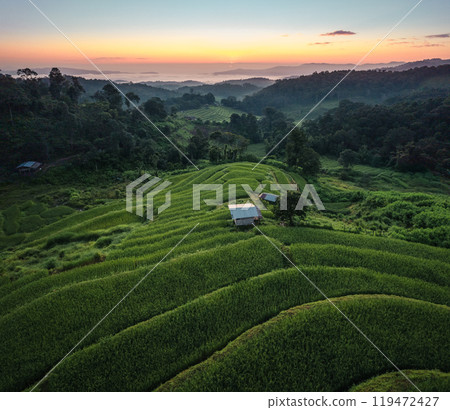Aerial view of the rice fields,Rice fields and mountains in the early morning Aerial view of the rice fields,Rice fields and mountains in the early morning 119472427