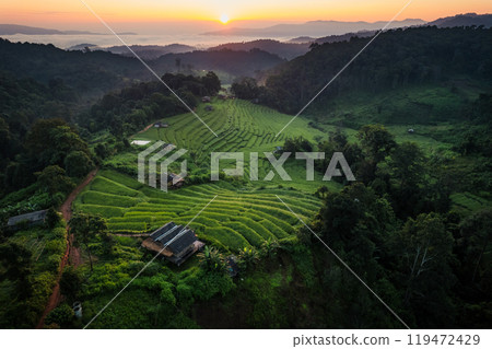 Aerial view of the rice fields,Rice fields and mountains in the early morning Aerial view of the rice fields,Rice fields and mountains in the early morning 119472429