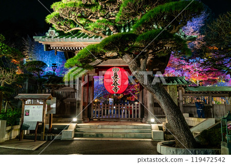 [Kanagawa Prefecture] Illuminated gate and lanterns of Hasedera Temple 119472542