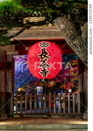 [Kanagawa Prefecture] Illuminated gate and lanterns of Hasedera Temple 119472549