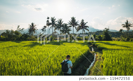 aerial view rice fields in the evening in pai thailand aerial view rice fields in the evening in pai thailand 119472558