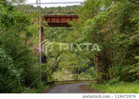 An iron bridge surrounded by greenery An iron bridge surrounded by greenery 119472674