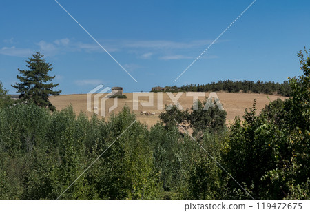 Peaceful Rural Landscape with Fields, Trees, and Sky Peaceful Rural Landscape with Fields, Trees, and Sky 119472675