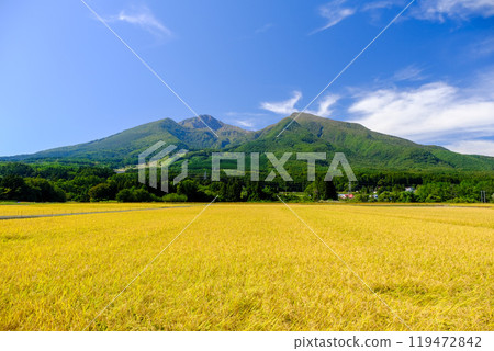 初秋的稻田和磐梯山 119472842