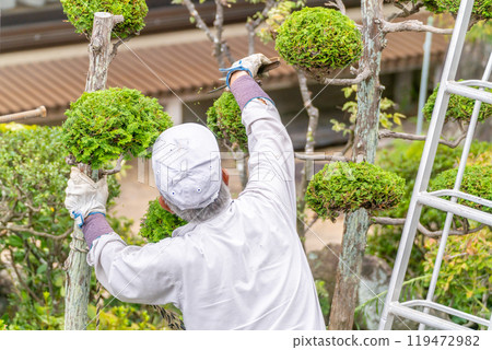 Working seniors contribute to the local community Garden tree pruning service 119472982