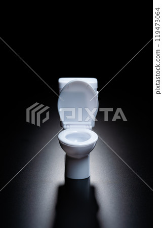 A miniature model of a toilet placed on a black background A miniature model of a toilet placed on a black background 119473064
