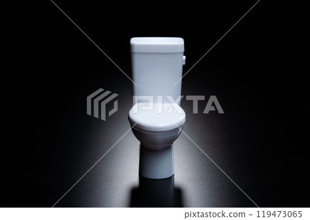 A miniature model of a toilet placed on a black background A miniature model of a toilet placed on a black background 119473065