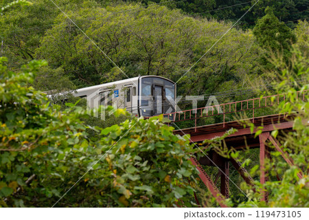 817 series train running amongst greenery 817 series train running amongst greenery 119473105