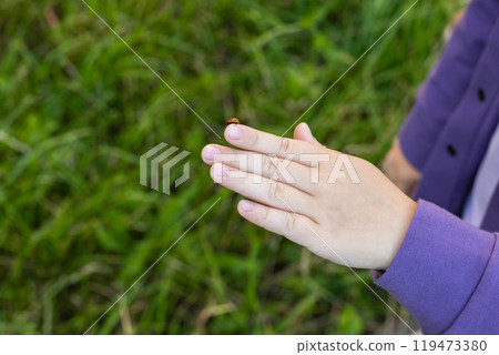 Ladybug crawling on a child's hand. Ladybug crawling on a child's hand. 119473380