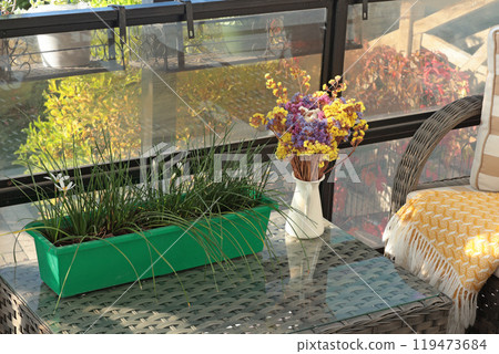 Wicker patio furniture and dry flowers in vase on sunny autumn day in backyard. Garden furniture for relaxing. Wicker patio furniture and dry flowers in vase on sunny autumn day in backyard. Garden furniture for relaxing. 119473684