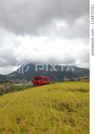 本地線,Kiha 200系列柴油列車,220DC和成熟的稻穀風景 本地線,Kiha 200系列柴油列車,220DC和成熟的稻穀風景 119473702