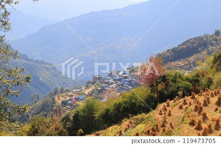 the camps and lodge near the Annapurna range in nepal, poon hill trekking circle 119473705
