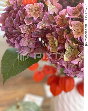 Bouquet of blooming hydrangea and physalis in vase. Copy space for text. Autumn and nature. Bouquet of blooming hydrangea and physalis in vase. Copy space for text. Autumn and nature. 119473726