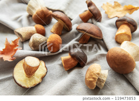A variety of mushrooms arranged on a soft gray fabric with autumn leaves 119473853