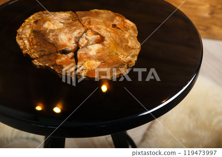 A stylish round table showcasing a stunning petrified wood top 119473997