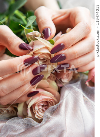 Elegant hands adorned with dark purple nails delicately hold soft pink roses on a light fabric Elegant hands adorned with dark purple nails delicately hold soft pink roses on a light fabric 119474015