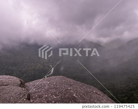 The Shiratani Unsuikyo Ravine on Yakushima is a lush nature park containing several ancient cedars, Yakushima is a World Heritage Site island located in Kagoshima Prefecture, Kyushu, Japan 119475425