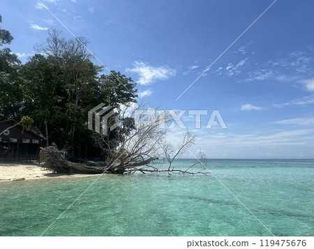 Mabul Island, the base for diving in Sipadan Island, Sabah state in Malaysia. 119475676