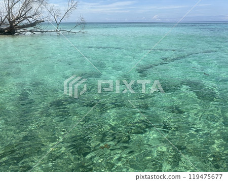 Mabul Island, the base for diving in Sipadan Island, Sabah state in Malaysia. Mabul Island, the base for diving in Sipadan Island, Sabah state in Malaysia. 119475677