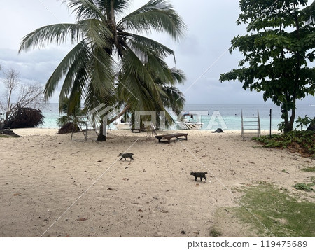 Mabul Island, the base for diving in Sipadan Island, Sabah state in Malaysia. Mabul Island, the base for diving in Sipadan Island, Sabah state in Malaysia. 119475689