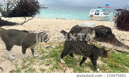 Mabul Island, the base for diving in Sipadan Island, Sabah state in Malaysia. 119475691