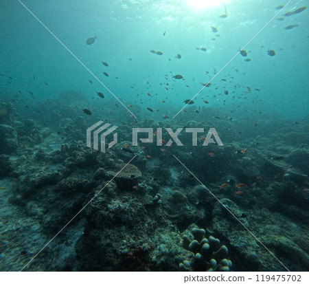 Mabul Island, the base for diving in Sipadan Island, Sabah state in Malaysia. Mabul Island, the base for diving in Sipadan Island, Sabah state in Malaysia. 119475702