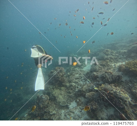 Mabul Island, the base for diving in Sipadan Island, Sabah state in Malaysia. 119475703
