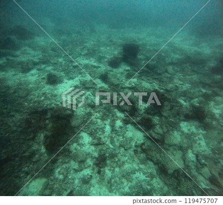 Mabul Island, the base for diving in Sipadan Island, Sabah state in Malaysia. Mabul Island, the base for diving in Sipadan Island, Sabah state in Malaysia. 119475707