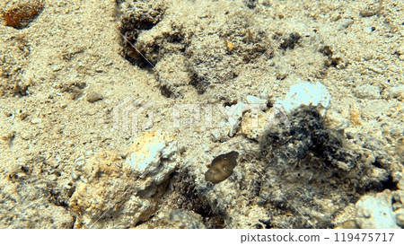Mabul Island, the base for diving in Sipadan Island, Sabah state in Malaysia. Mabul Island, the base for diving in Sipadan Island, Sabah state in Malaysia. 119475717