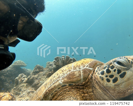 Mabul Island, the base for diving in Sipadan Island, Sabah state in Malaysia. Mabul Island, the base for diving in Sipadan Island, Sabah state in Malaysia. 119475742
