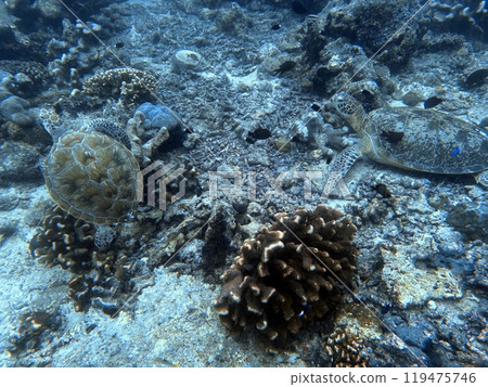 Mabul Island, the base for diving in Sipadan Island, Sabah state in Malaysia. 119475746