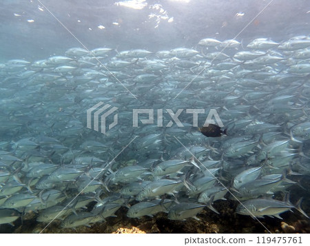Mabul Island, the base for diving in Sipadan Island, Sabah state in Malaysia. Mabul Island, the base for diving in Sipadan Island, Sabah state in Malaysia. 119475761