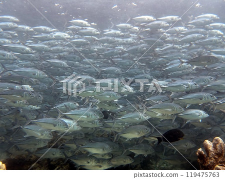 Mabul Island, the base for diving in Sipadan Island, Sabah state in Malaysia. Mabul Island, the base for diving in Sipadan Island, Sabah state in Malaysia. 119475763