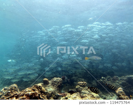 Mabul Island, the base for diving in Sipadan Island, Sabah state in Malaysia. Mabul Island, the base for diving in Sipadan Island, Sabah state in Malaysia. 119475764