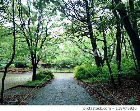 A nostalgic walking path in a park that now bears the name of Enmei, which has changed in appearance 119475926