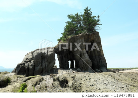 Kuguriiwa Rock at Cape Motoyama in Yamaguchi Prefecture Kuguriiwa Rock at Cape Motoyama in Yamaguchi Prefecture 119475991