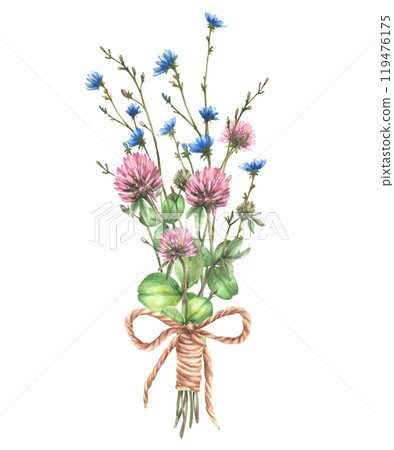 Wildflower lovely bouquet tied with a cord Field pink clover, blue chicory flowers and buds, meadow herbs. Cute Bunch of summer gift Watercolor hand drawn illustration Clipart Isolated from background 119476175