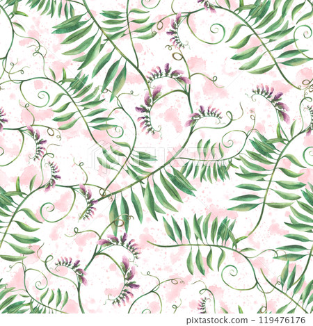 Wildflowers climbing twig mouse pea seamless pattern. Lilac purple flowers, buds and leaves on watercolor pink stains splashes background Hand drawn illustration Summer fabric isolated from background 119476176