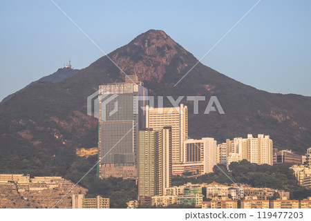 Oct 12 2024 Relaxing at Sandy Bay in Hong Kong Oct 12 2024 Relaxing at Sandy Bay in Hong Kong 119477203