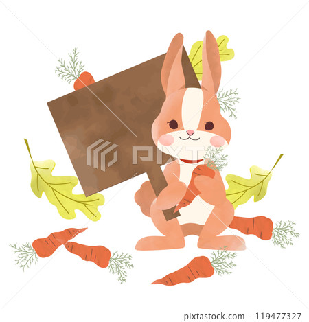 A rabbit and a carrot holding a sign in the forest 119477327