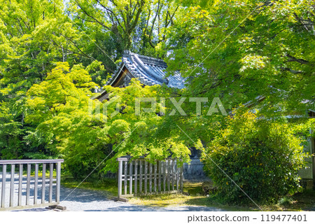 紫式部宅邸遺址、流山寺、院內綠意盎然 紫式部宅邸遺址、流山寺、院內綠意盎然 119477401