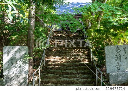 魚王山種寺 魚王山種寺 119477724