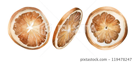 Dried oranges, set of dry slices of citrus fruits. Tradition Christmas Winter Decor item. Watercolor hand drawn isolated vintage floral illustration for Christmas winter design, cards, holiday prints Dried oranges, set of dry slices of citrus fruits. Tradition Christmas Winter Decor item. Watercolor hand drawn isolated vintage floral illustration for Christmas winter design, cards, holiday prints 119478247