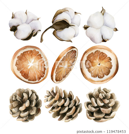 Cotton, orange slices and pine cones. Pinecones. Set of watercolor hand painted isolated floral illustrations for wedding design, winter or autumn decor, floral labels, botanical posters, prints, card Cotton, orange slices and pine cones. Pinecones. Set of watercolor hand painted isolated floral illustrations for wedding design, winter or autumn decor, floral labels, botanical posters, prints, card 119478453